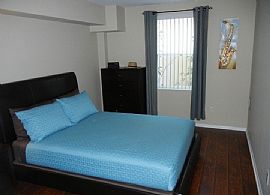 Accomodating 1 Bedroom in San Diego, CA (Photo 4 of 8)