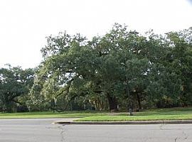 Small and Cozy 2 Bedroom 1 Bath First Floor Apartment in New Orleans, LA (Photo 4 of 5)