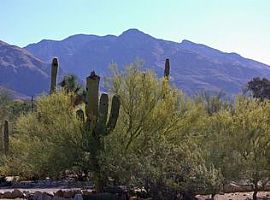 7519 N Ellison Dr, Tucson, Az 85704 in Tucson, AZ (Photo 2 of 5)