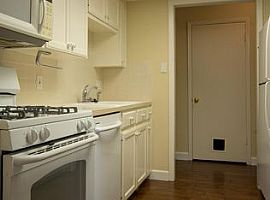 3 Beds 2 Baths 1,310 Sqft in Austin, TX (Photo 11 of 12)