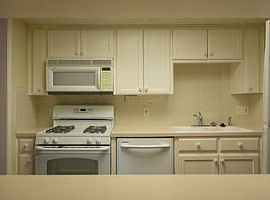 3 Beds 2 Baths 1,310 Sqft in Austin, TX (Photo 9 of 12)