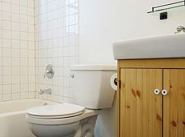 2 Beds 1 Bath 728 Sqft in Austin, TX (Photo 9 of 12)