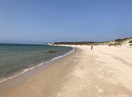 133 Indian Hill Rd # Main, West Tisbury, Ma 02575 4 Beds 4 Bath in West Tisbury, MA (Photo 10 of 11)