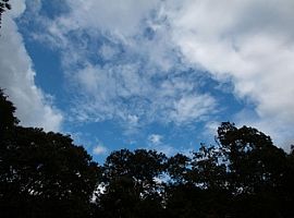 133 Indian Hill Rd # Main, West Tisbury, Ma 02575 4 Beds 4 Bath in West Tisbury, MA (Photo 11 of 11)