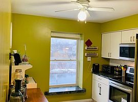 917 Burgess Cir Buffalo Grove,  in Buffalo Grove, IL (Photo 3 of 12)