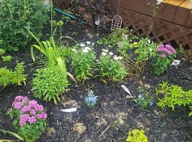 3131 S Nevada St Milwaukee, Wi 53207 in Milwaukee, WI (Photo 11 of 12)