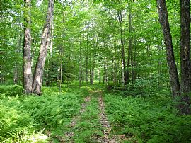 Wagner Hill Guest Cottage in Ambridge, PA (Photo 9 of 12)