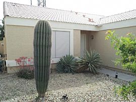 8221 N 111th Ln, Peoria, Az 85345 in Peoria, AZ (Photo 7 of 7)