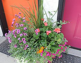 $1,100/mo2 Bd1 Ba1,100 Sqft 3710 Randolph St # 3, Anchorage, Ak in Anchorage, AK (Photo 6 of 10)