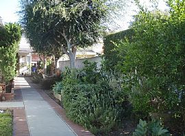 1 in North Hollywood, CA