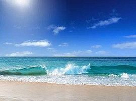 717 Eldorado Ave, Clearwater, Fl 33767 in Clearwater, FL (Photo 10 of 12)