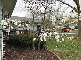 462 S Owen Dr, Madison, Wi 53711 in Madison, WI (Photo 7 of 12)