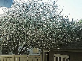 2020 King St, La Crosse, Wi 54601 in La Crosse, WI