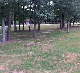 255 Lee Road 850, Phenix City, Al 36870 in Phenix City, AL (Photo 2 of 6)