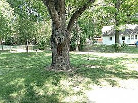 4 Bedroom, 3 Bath Home in Overland, KS (Photo 2 of 12)