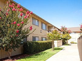 Building: Maplewood in Mountain View, CA