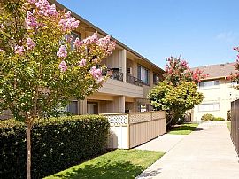 Building: Maplewood in Mountain View, CA (Photo 4 of 10)