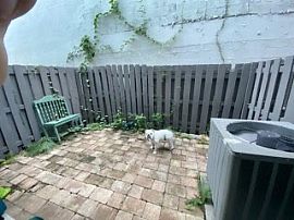 Huge 2/2 Brickell Townhouse in Miami, FL (Photo 3 of 8)