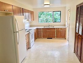 Brand New Product Material  in Seattle, WA (Photo 4 of 12)