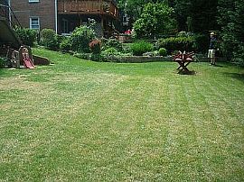 423 Saint Lawrence Dr, Silver Spring, Md 20901 in Silver Spring, MD (Photo 8 of 12)