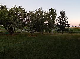 Countryside Rental Home in Shoshone, ID (Photo 10 of 12)