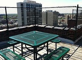 1bed 1bath in Chicago, IL (Photo 4 of 8)