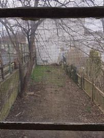 2 Bedroom 1 Bath Rear Apartment. in Lancaster, PA (Photo 4 of 5)