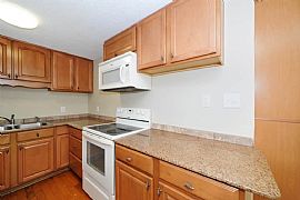 Beautiful Home For Rent in Tampa, FL (Photo 5 of 8)