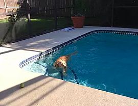 3220 Elmer St, Sarasota, Fl 34231 in Sarasota, FL (Photo 8 of 9)