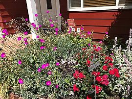 Big and Beautiful One Bedroom in Citrus Heights, CA (Photo 11 of 12)