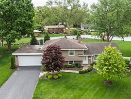 Kamiv59102@remail7.Com in Naperville, IL