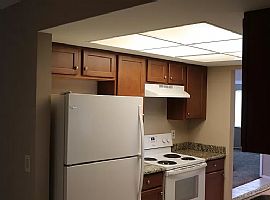 3028 Village Hill Pl, Winter Park, Fl 32792 in Winter Park, FL (Photo 4 of 12)