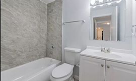 Beautiful 3bd with 2ba Available For Rent in Tampa, FL (Photo 11 of 12)