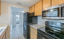 Beautiful 3bd with 2ba Available For Rent in Tampa, FL (Photo 3 of 12)