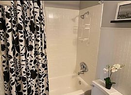 8646 E Wilshire Dr, Scottsdale, Az 85257 in Scottsdale, AZ (Photo 5 of 12)