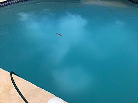 1818 E Harvard Dr, Tempe, Az 85283 in Tempe, AZ (Photo 7 of 7)