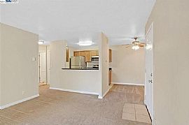 37346 Spruce Ter, Fremont, Ca in Fremont, CA (Photo 7 of 7)