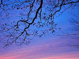 92 Rockaway Rd, Falmouth, Me in Falmouth, ME (Photo 4 of 11)