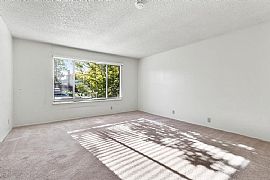 Charming 3 Bedroom Family Home in San Jose, CA (Photo 5 of 12)