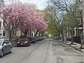 25 Morning St #1, Portland, Me in Portland, ME