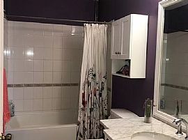 213 Nw 14th St, Cape Coral, Fl 33993 in Cape Coral, FL (Photo 8 of 12)