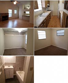 16504 Wb Pritchett Ln, Lutz, Fl 33549 For $800/m Deposit $800 in Lutz, FL (Photo 2 of 2)