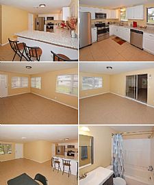 3253 Jackson Dr, Holiday, Fl 34691 For $800/m Deposit $800/m in Holiday, FL (Photo 3 of 3)