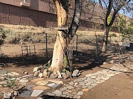 415 Field St Apt B, Sparks, Nv 89431 in Sparks, NV (Photo 11 of 11)