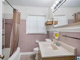 234 87th Pl S, birmingham, Al 35206 in Birmingham, AL (Photo 10 of 11)