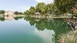 14709 S Sumac Dr, Sahuarita, Az 85629 in Sahuarita, AZ (Photo 10 of 12)