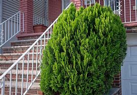 West New York 2 Bedroom Single Family Homes For Rent with Air C in West New York, NJ (Photo 3 of 12)