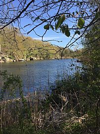 580 Towner Swamp Rd, Guilford, Ct 06437 in Guilford, CT (Photo 12 of 12)