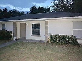 13102 Se 101st Ave, Belleview, Fl 34420 in Belleview, FL