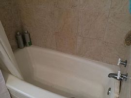 1044 Lakeview Cres, Birmingham, Al 35205 in Birmingham, AL (Photo 7 of 9)